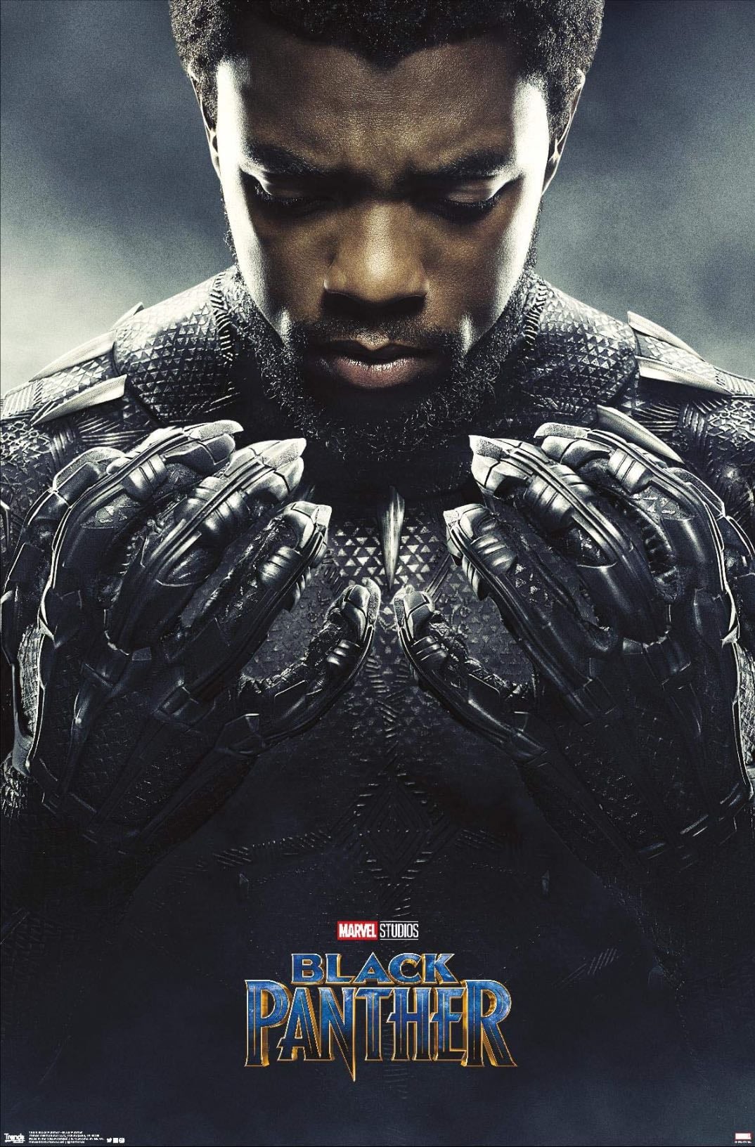 Black Panther - Ryan Coogler · 2018