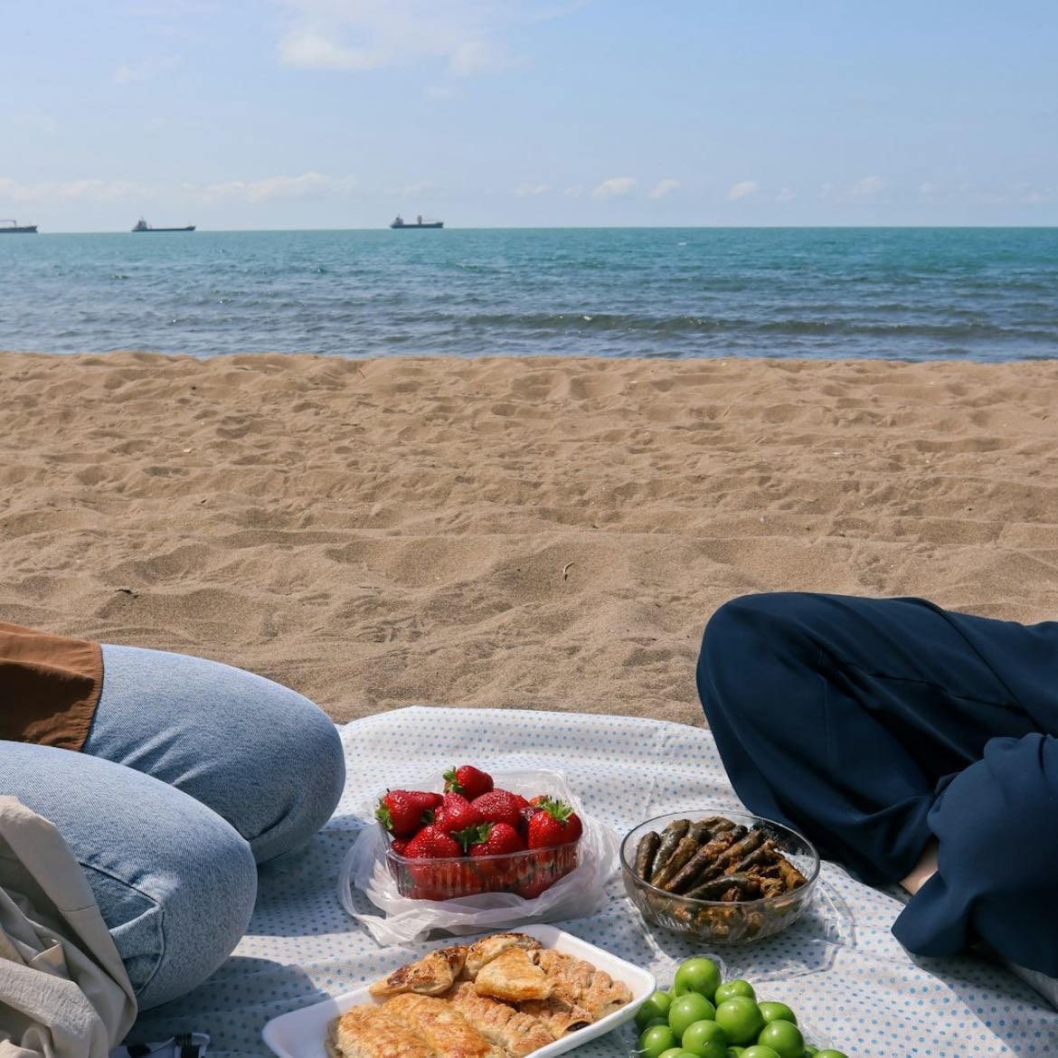 Picnics en la playa (tarde)