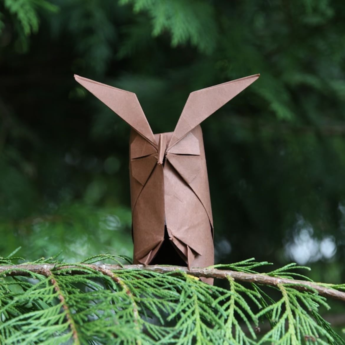 Aprender origamis nuevos