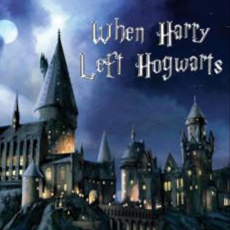 When Harry Left Hogwarts