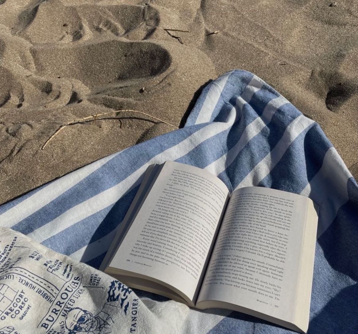 summer book recs ☀️🏝️
