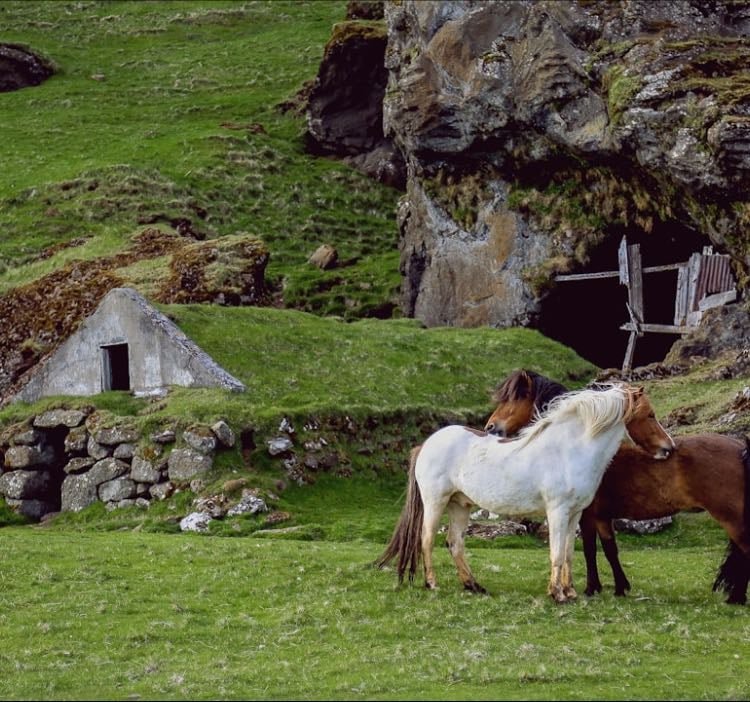 Aveyron in cinema - Movies hypelist by BmoMelody