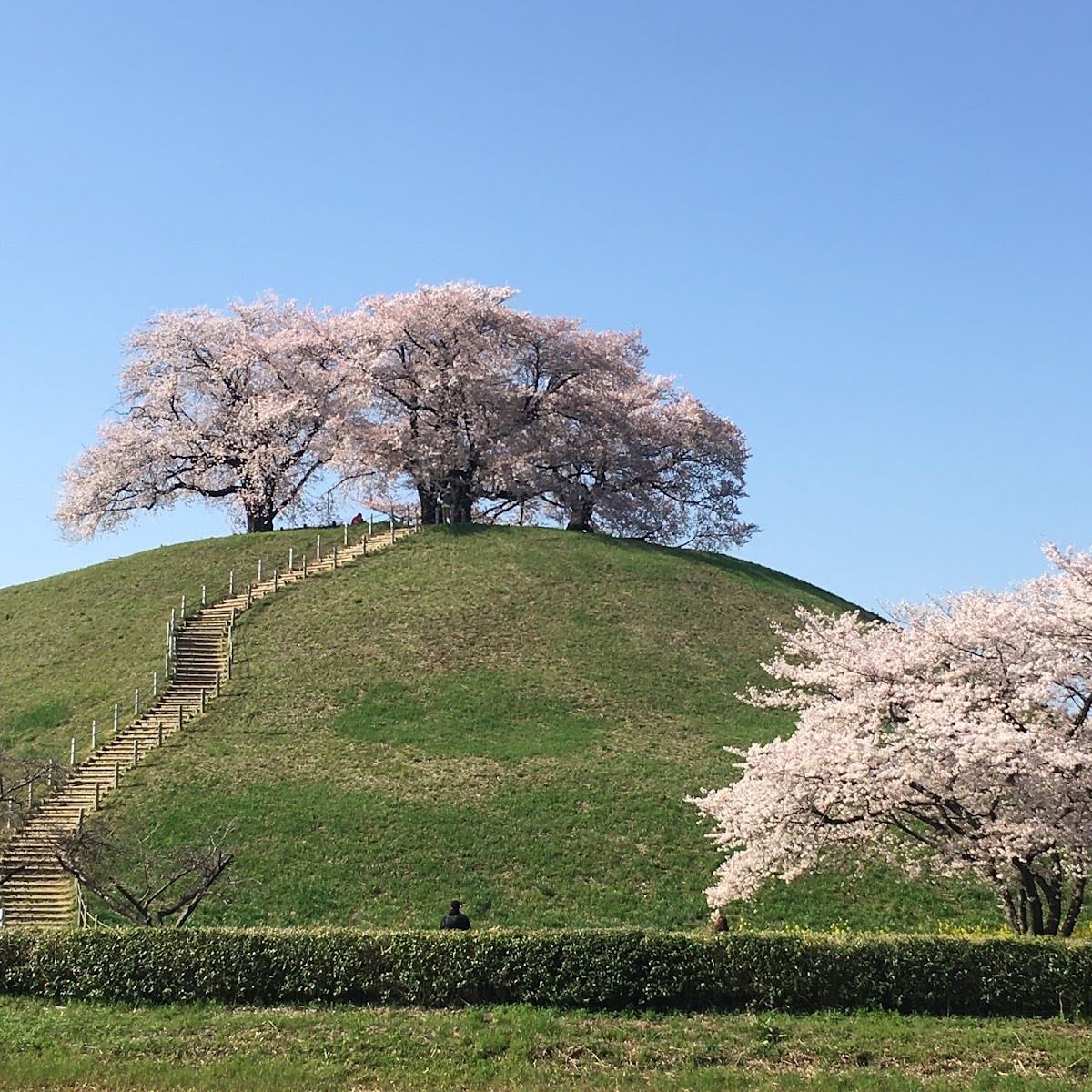 Sakitama Kofun Ancient Tomb Park