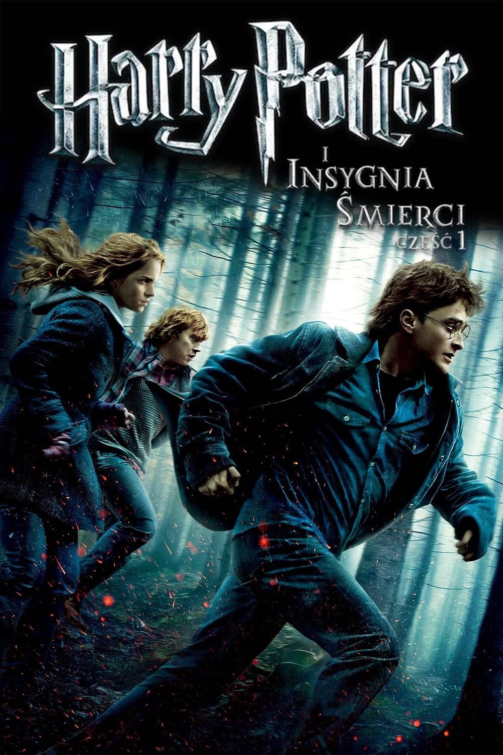 Harry Potter et les Reliques de la mort - 1ère partie - David Yates · 2010