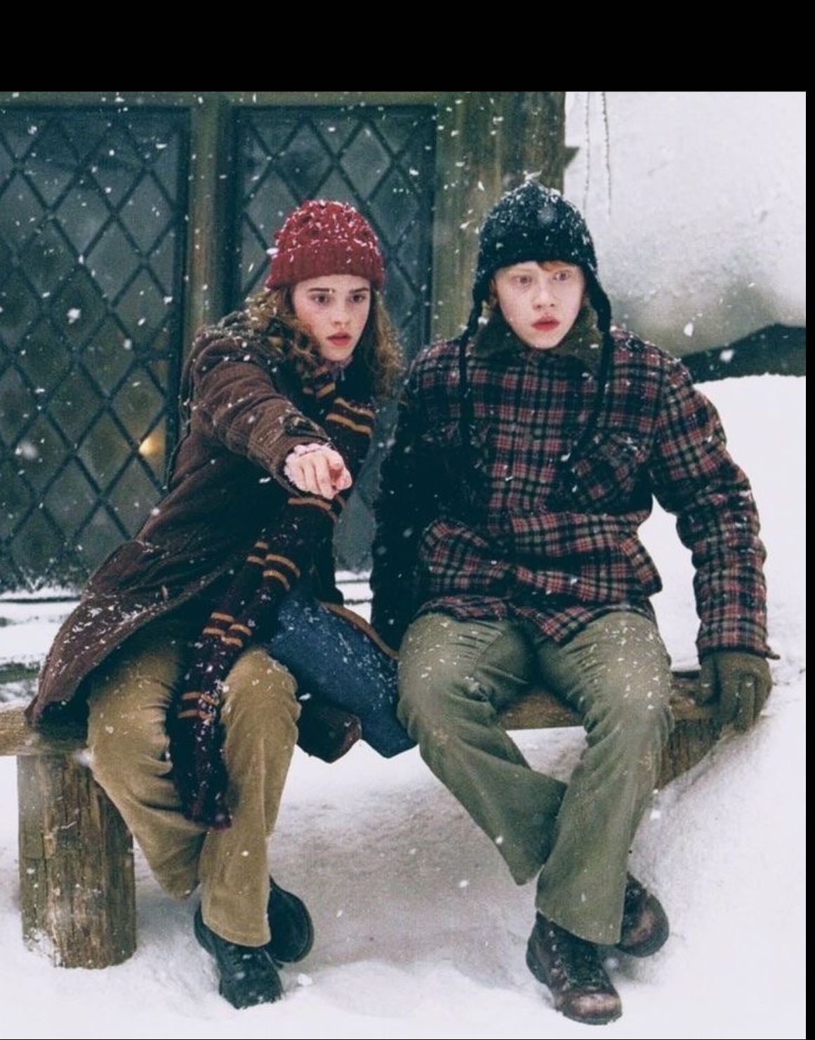 Su relación - Fan de Harry potter, fan de romione