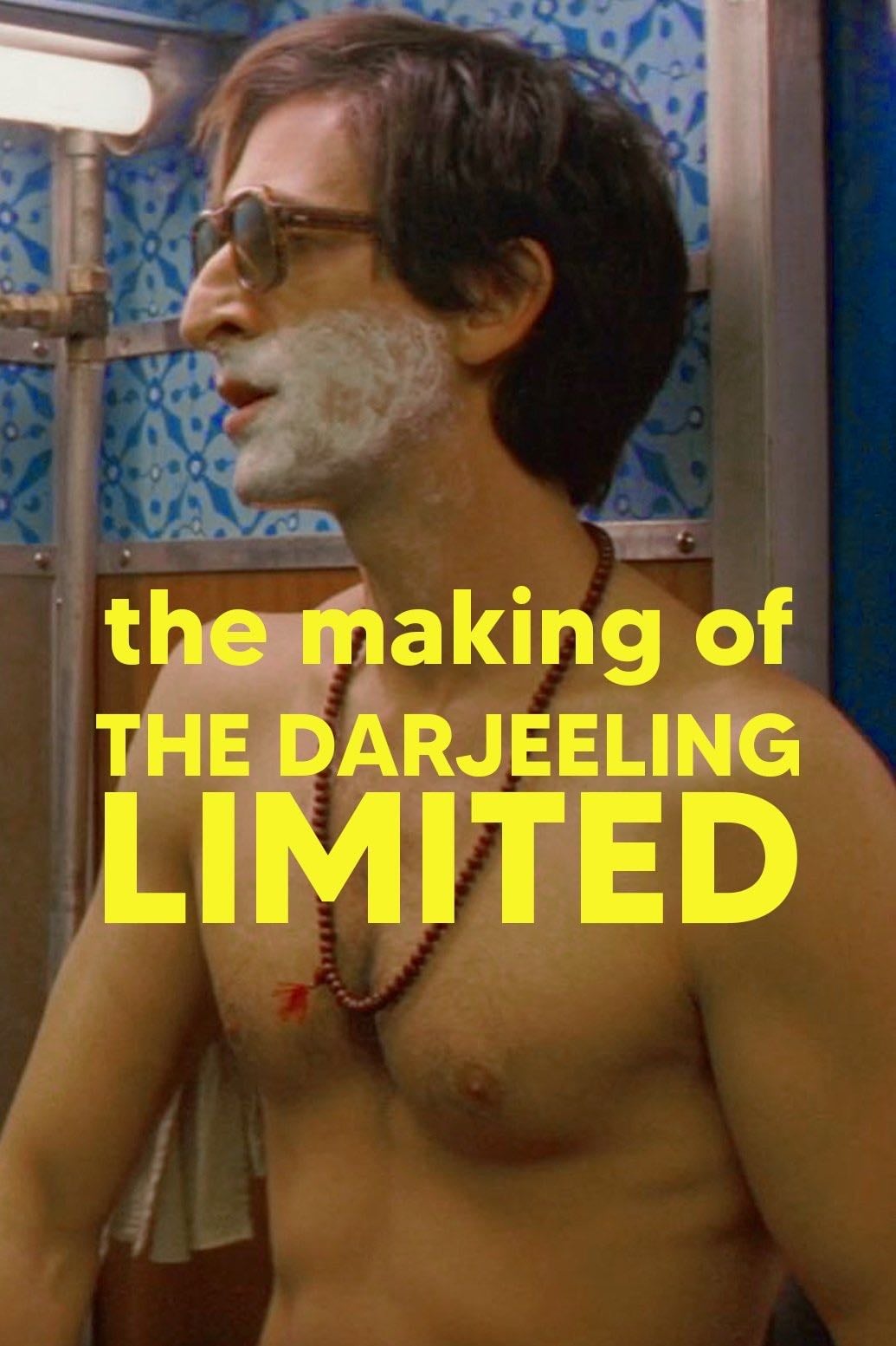 The Making of 'The Darjeeling Limited' - Barry Braverman · 2010
