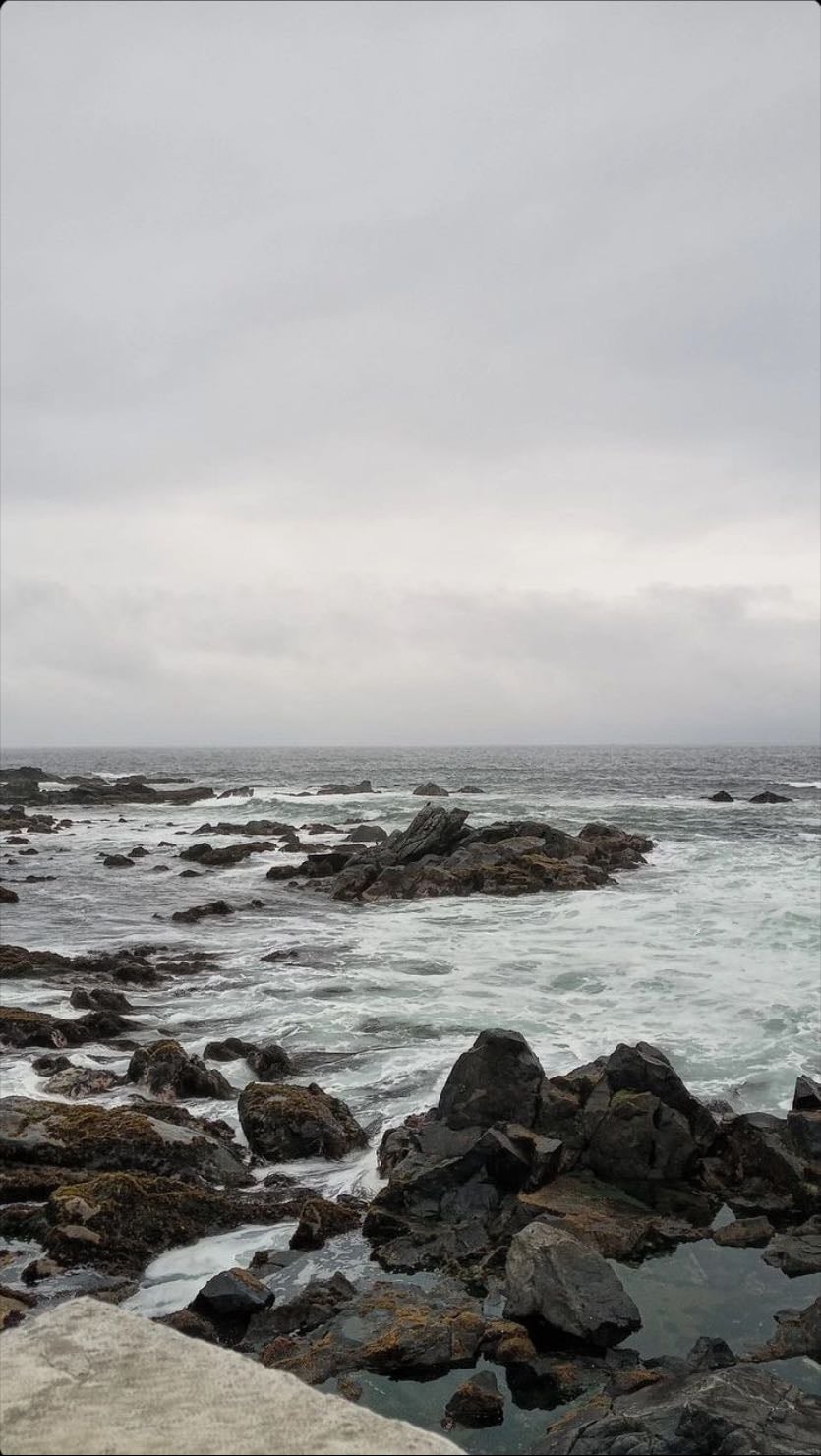 La playa en invierno - La playa, pero no la simple playa, la playa en una tarde de invierno donde no hay nadie, donde esta nublado o con un cielo rosado apunto de anochecer, esa es una de la mejores sensaciones de la vida