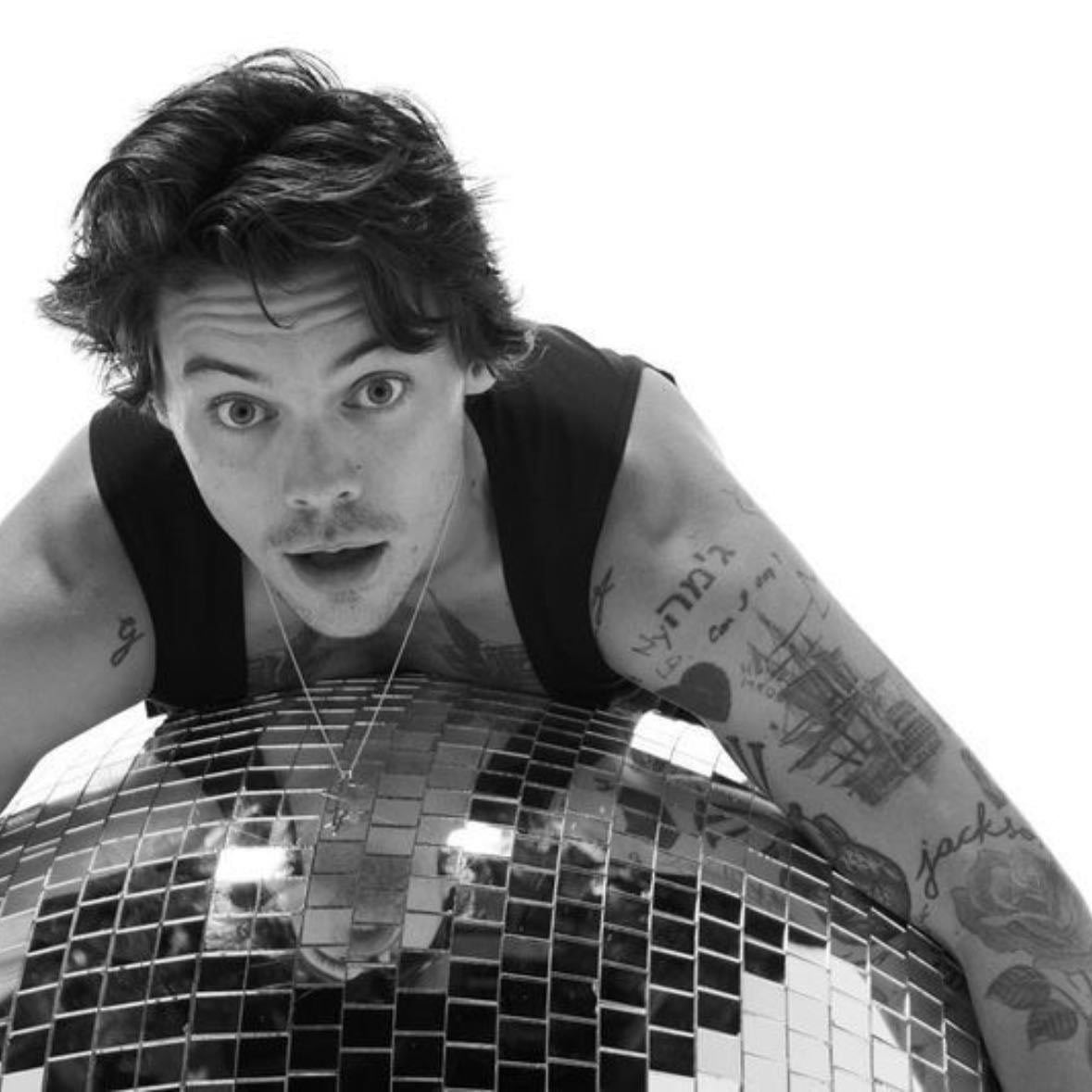 Harold - He is just so recpectful and truly kind.He is amazing with everyone and so accepting and soportive with everyone.I love that he never judges you and is always trying to find a way to help.He is also extremely funny and at the same time kinda chill witch I love about him. I love that he is like a happy environment for us and he’s just so fun. Another thing I like about him is the fact that he talks to the crowd in he’s concerts like he has known them there whole life.I love the way he mocks people but still doesn’t make it mean or anything. He’s mesmerizing green eyes are my world there just so beautiful.hes dimples,I could simply live in them.He’s hair aaaa literal perfection those golden curlsss and even when he shaved he’s head he looked gorgeous.Hes vocals are so powerful and beautiful.He makes me feel calm but at the same time makes me feel crazy.He’s songs are so conferring and fun. Listening to his music never gets old it’s just so perfect.