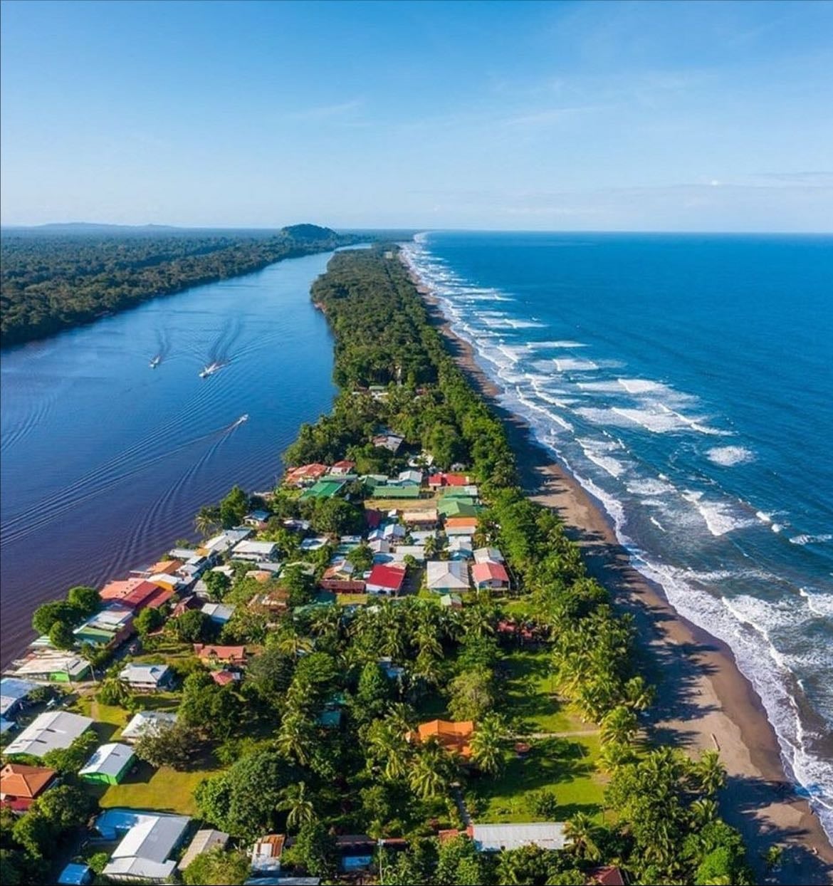 Tortuguero - beautiful rainforest