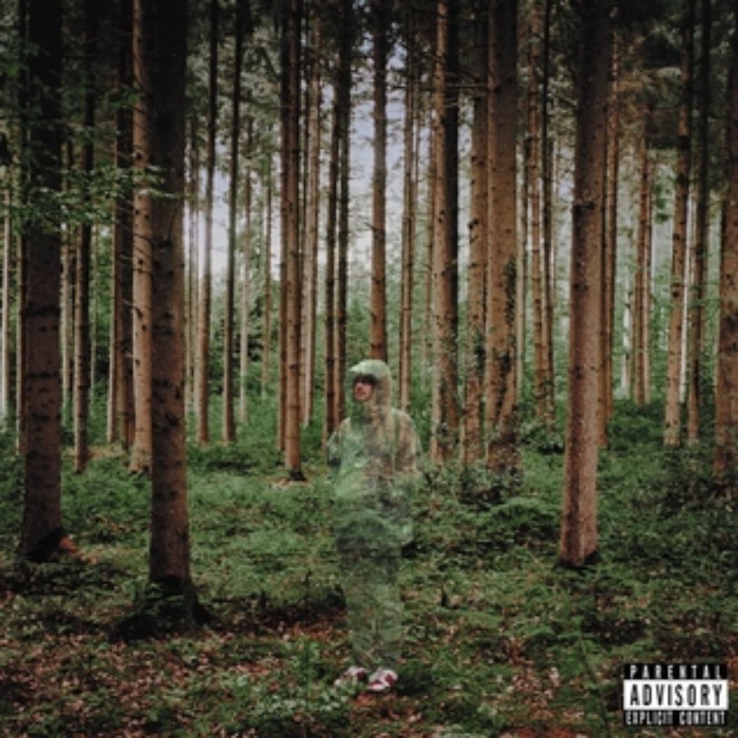 I love you I’m trying - CD - grandson