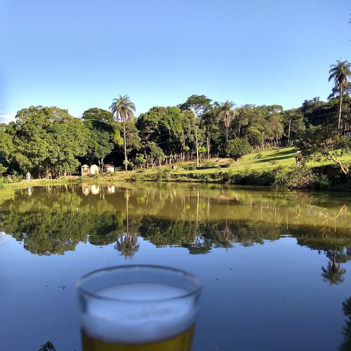 Palhano
