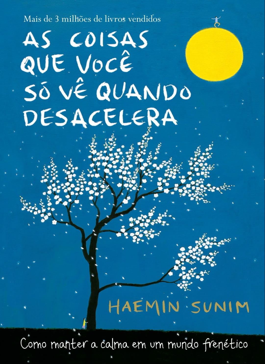 As coisas que você só vê quando desacelera - Haemin Sunim · 2017