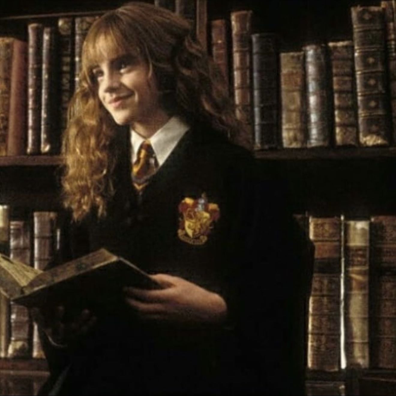 hermione granger - harry potter