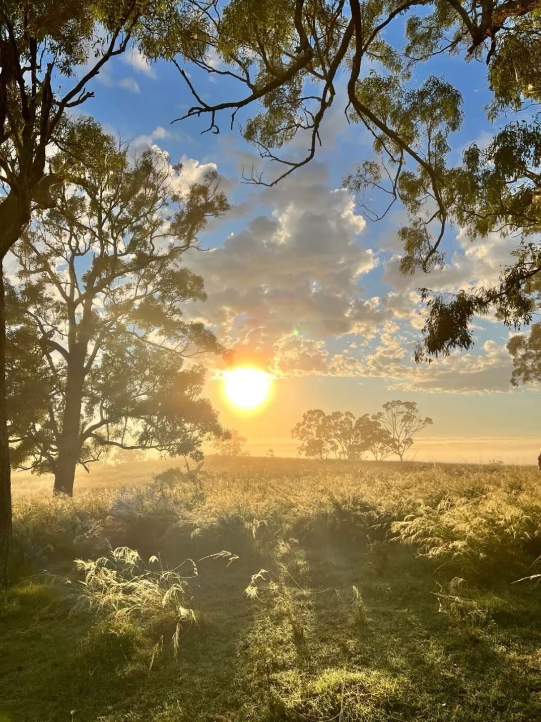 Watch a sunrise somewhere special