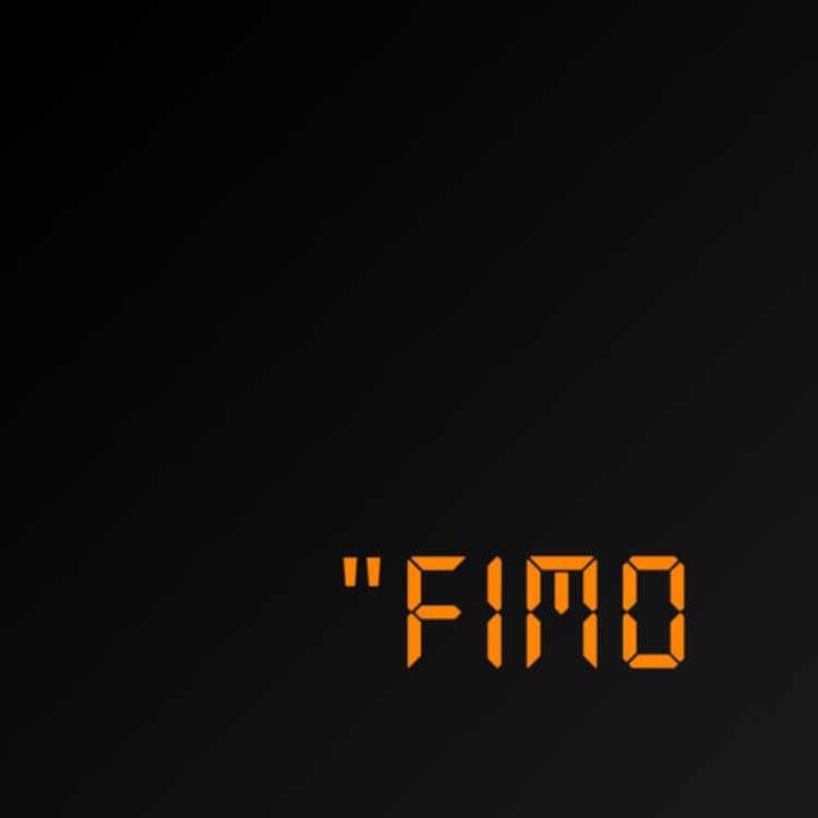 FIMO - Cámaras tipo “disposable”