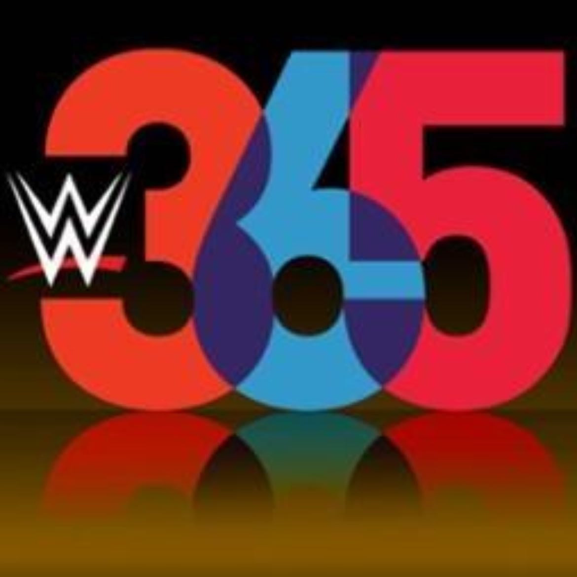 WWE 365 - 2017