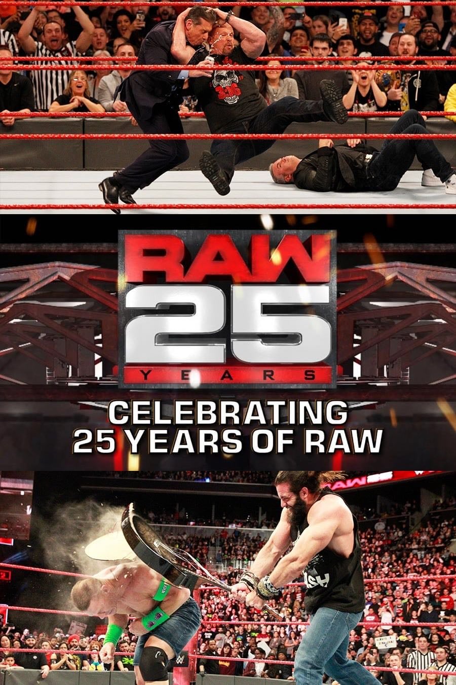Raw 25: Celebrating 25 Years Of Raw - 2018