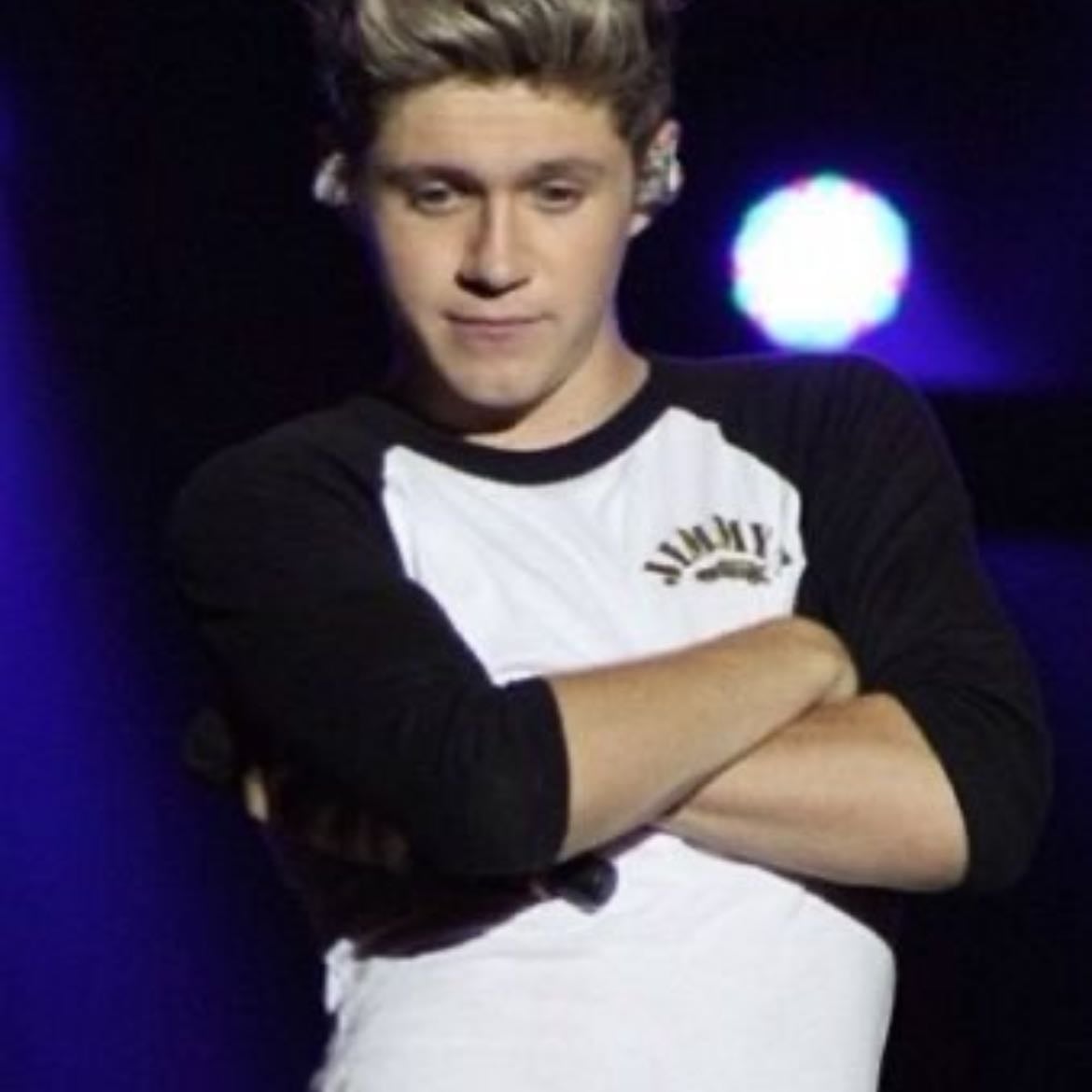 âitâs sir. donât call me niall, itâs sir to youâ