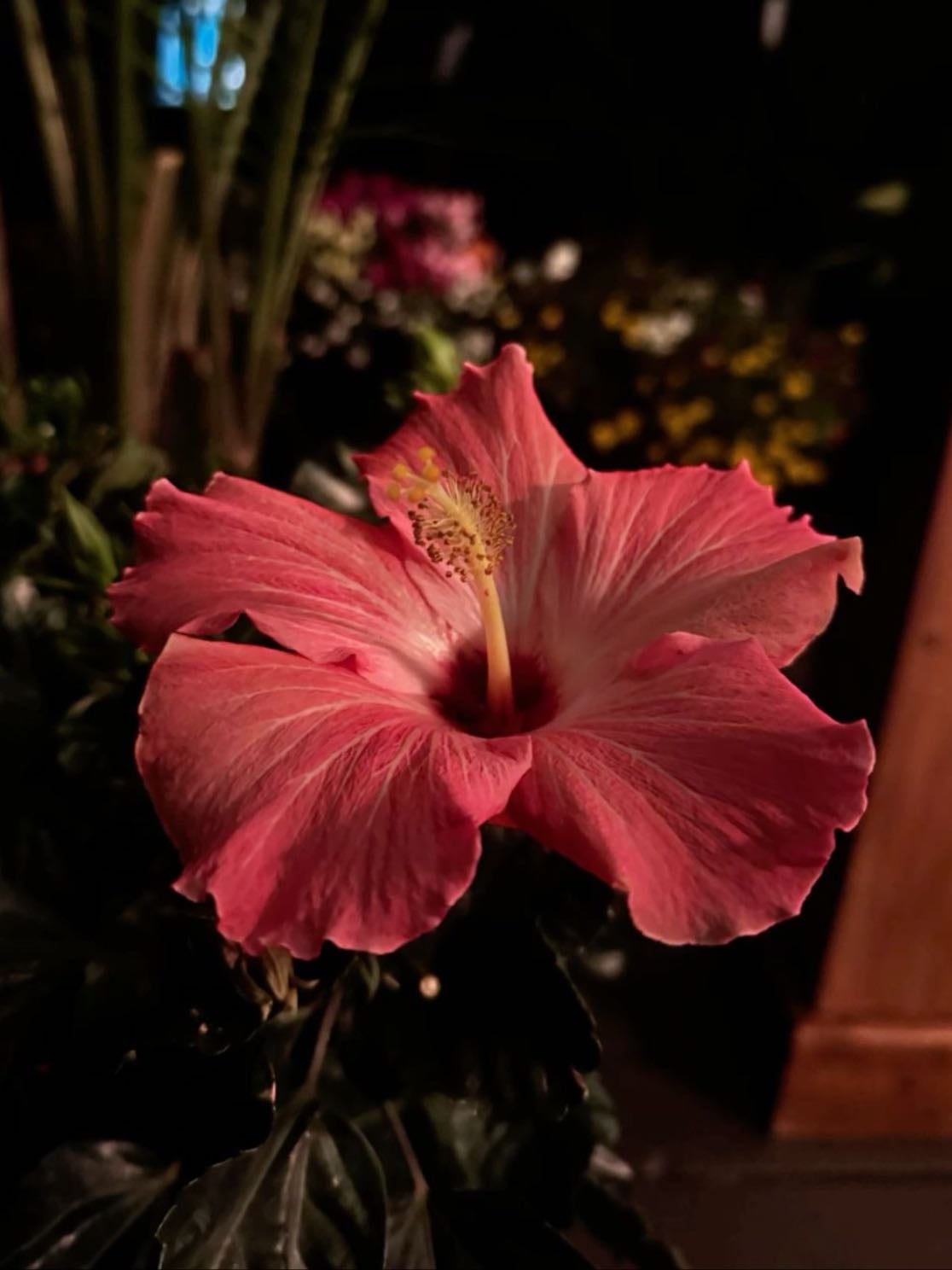 flowers - each a unique piece that is appreciated by at least one person