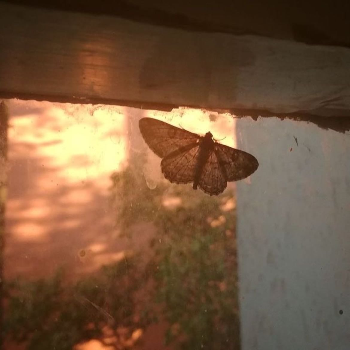 this reminds me of you - taking a picture of something wonderful and the other person being your first thought