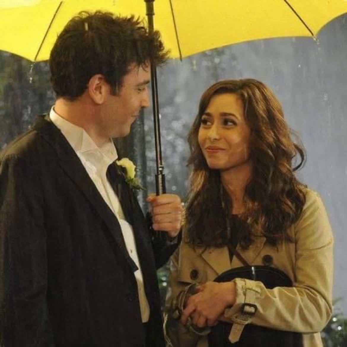 how i met your mother: tracy & ted