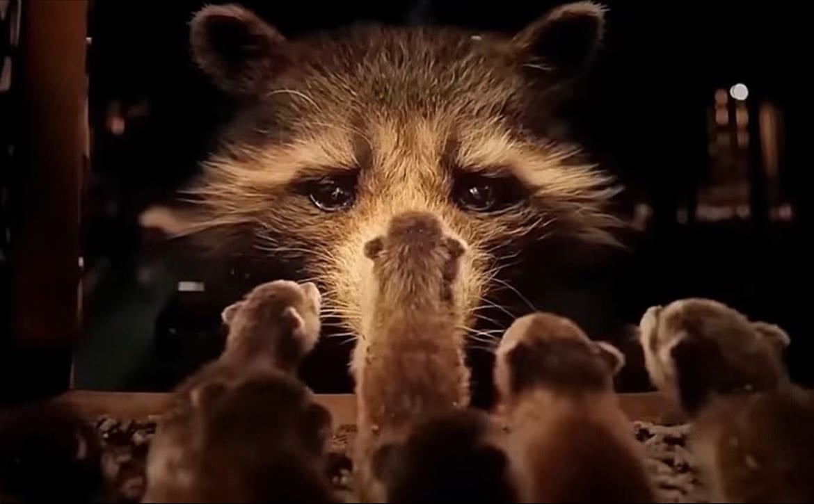 guardians of the galaxy vol. 3 - 2023