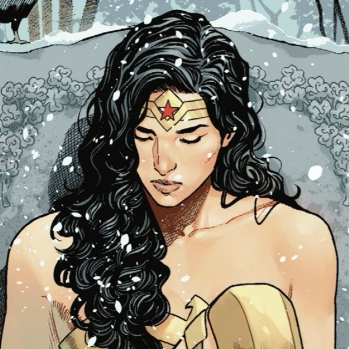 diana prince - “don’t raise your hand at all until you’ve first extended it.”