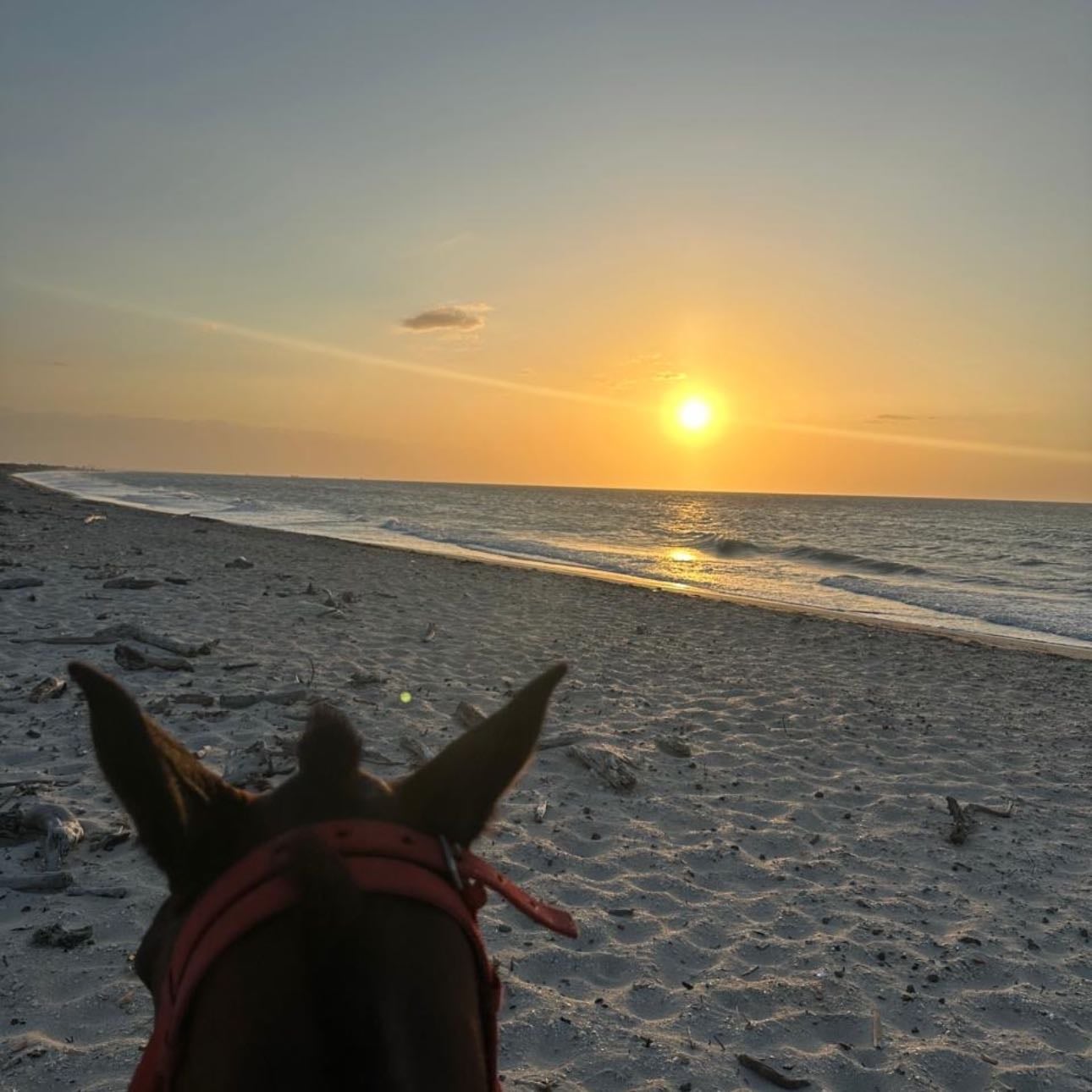 Cabalgata en la guajira