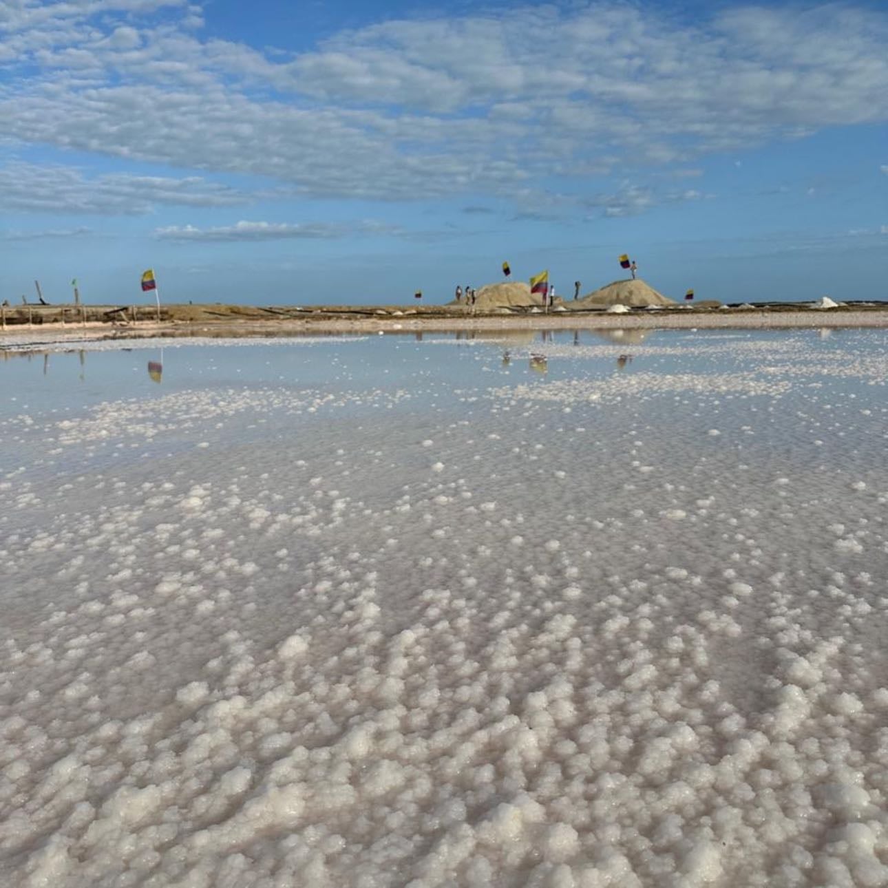 Salina De Manaure