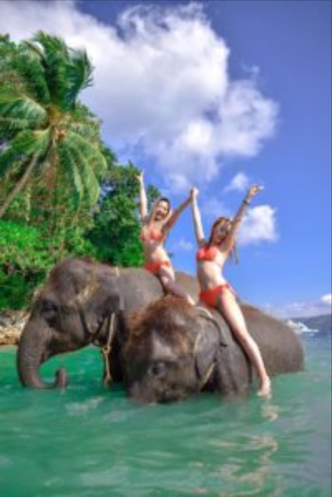 Elephant Swims @Lucky Beach, Tri Trang