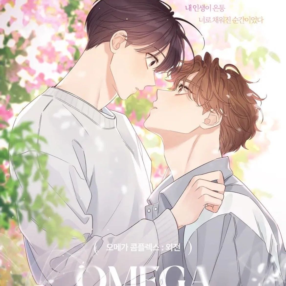 Omega Complex
