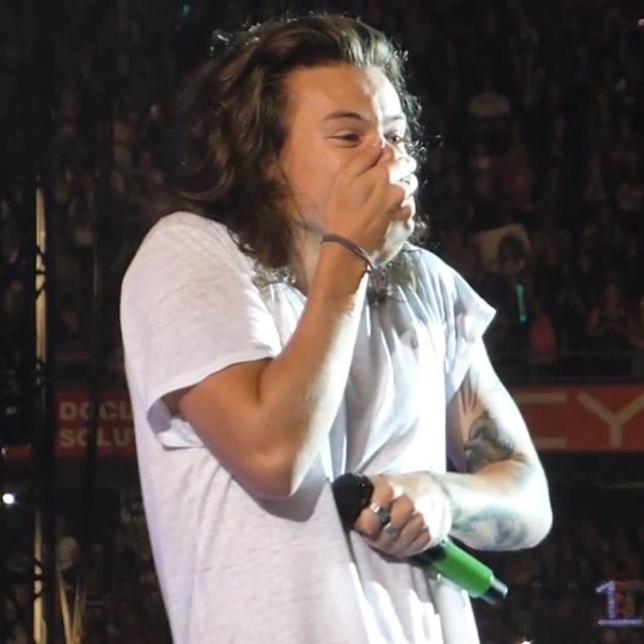 Iโve had a rough two days guys - Im so sad because two days ago was 1 year since the last LOT showโฆ the biggest loss of my life. I never got to go to a single show. Harry Styles saved me and going to one of his shows would heal me. I hope I get tickets to his next tour. Yesterday was 14 years of 1D. Another depressing day. They better get together soon or Iโm gonna Zayn.