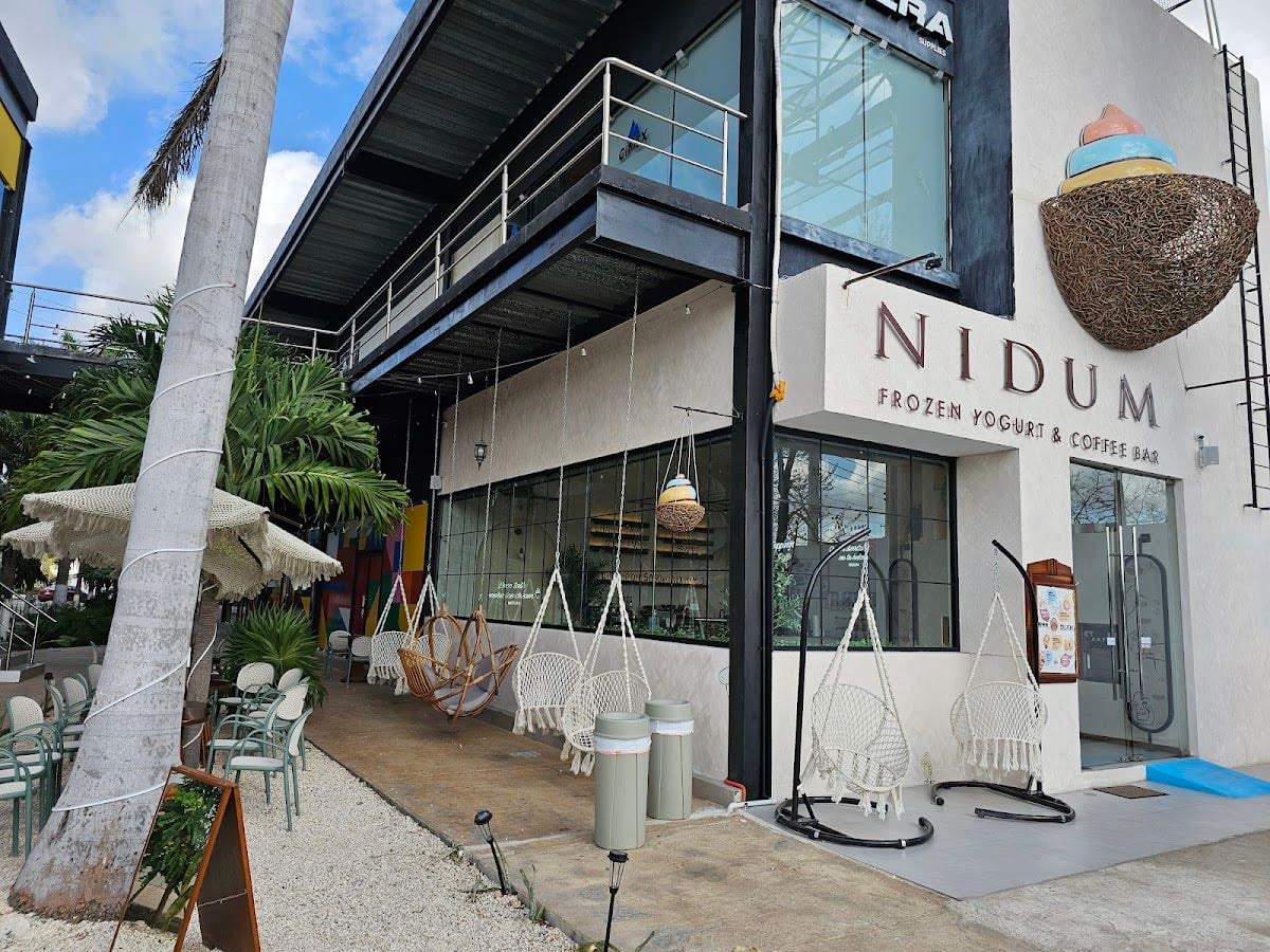 NIDUM Frozen Yogurt & Coffee Bar