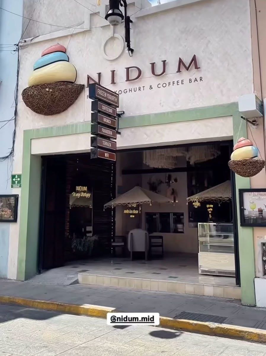 NIDUM Frozen Yogurt & Coffe Bar Centro