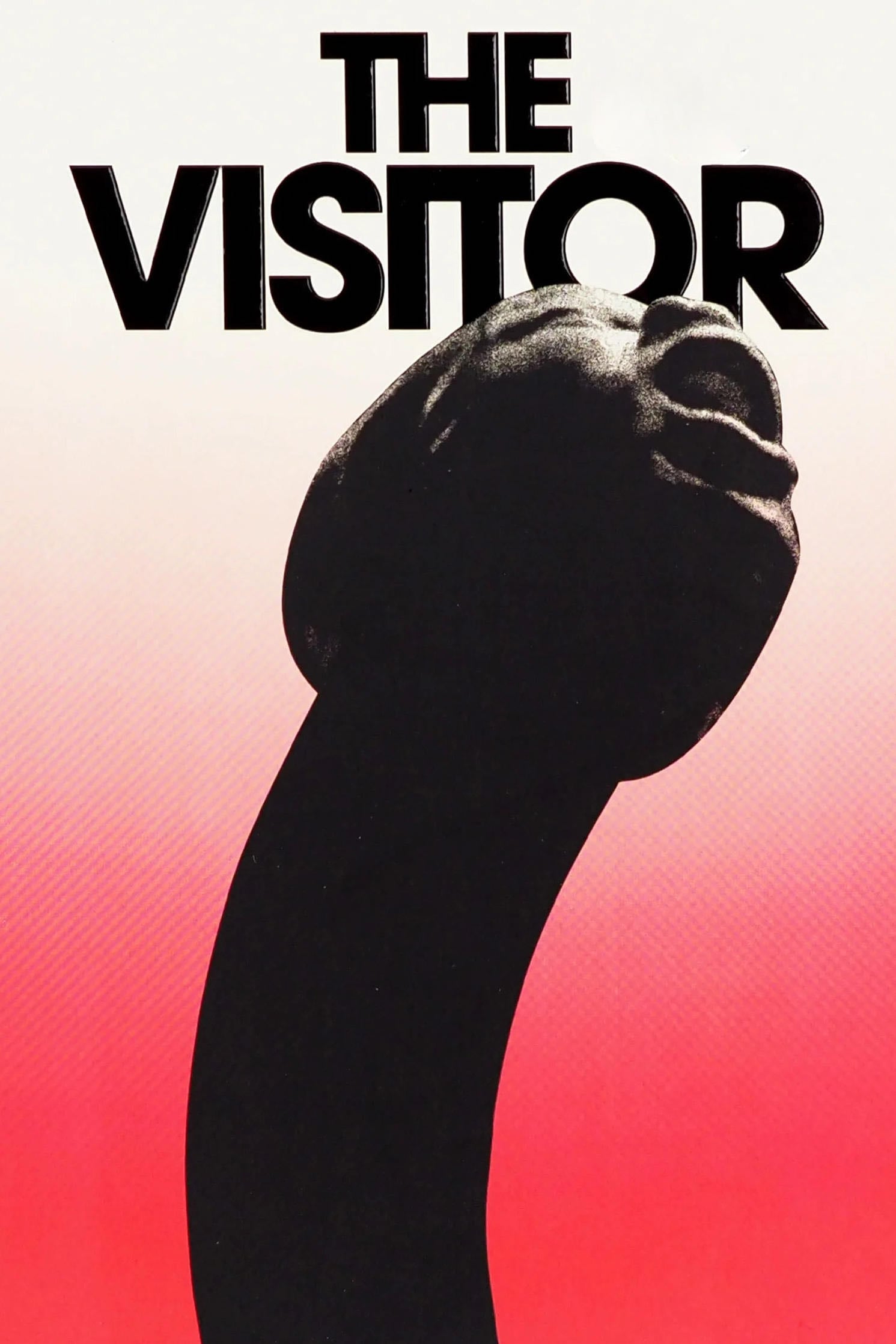The Visitor - Bruce LaBruce · 2024