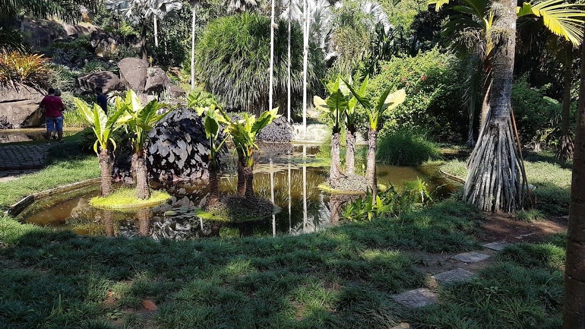 Sítio Roberto Burle Marx - IPHAN - Arquiteto paisagem (pedir cita para visitar)