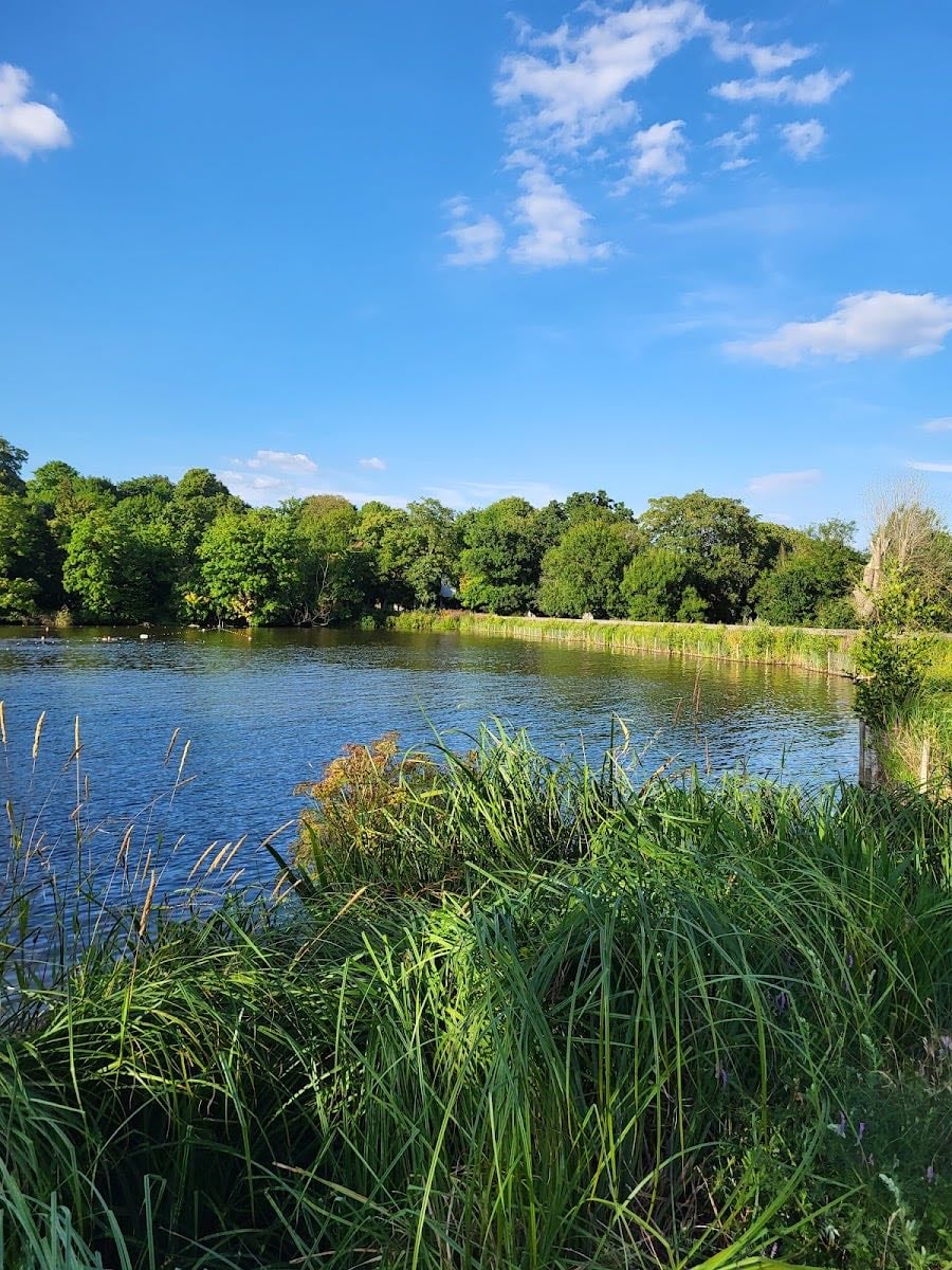 Highgate Men's Bathing Pond
