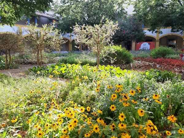 Jardin Des Arts