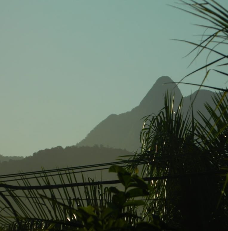 filmes brasileiros