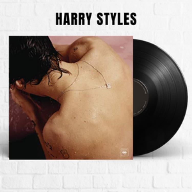 HS1- Harry Styles <3