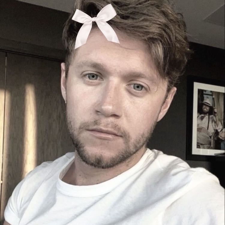 Niall horan- - I don’t want to live up to how people expect me to