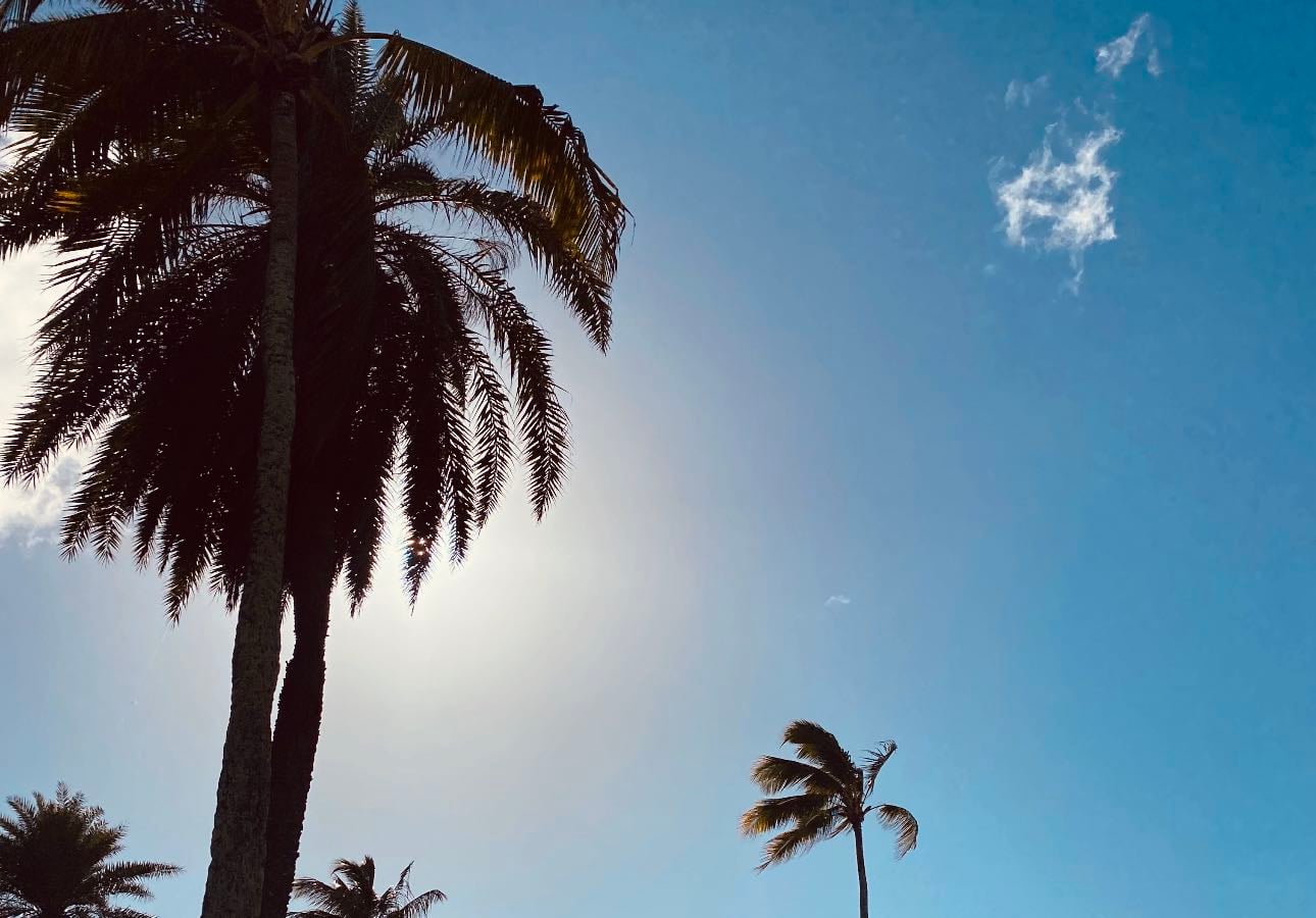 Hawaiian songs/Island jams - Music hypelist by Aedyn-Rhys King