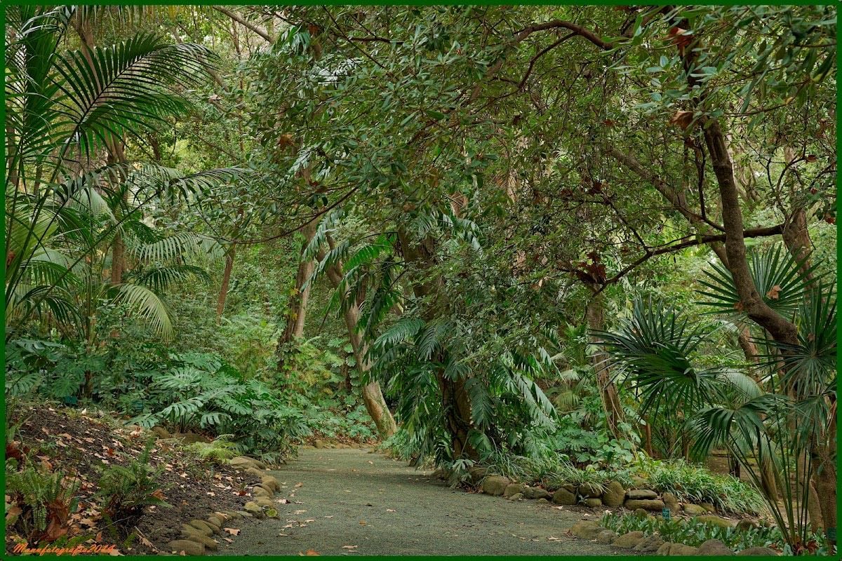 Jardín Botánico Histórico La Concepción