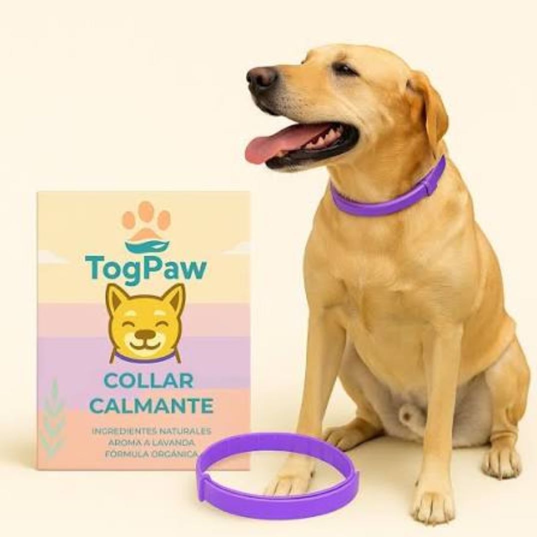 Togpaw