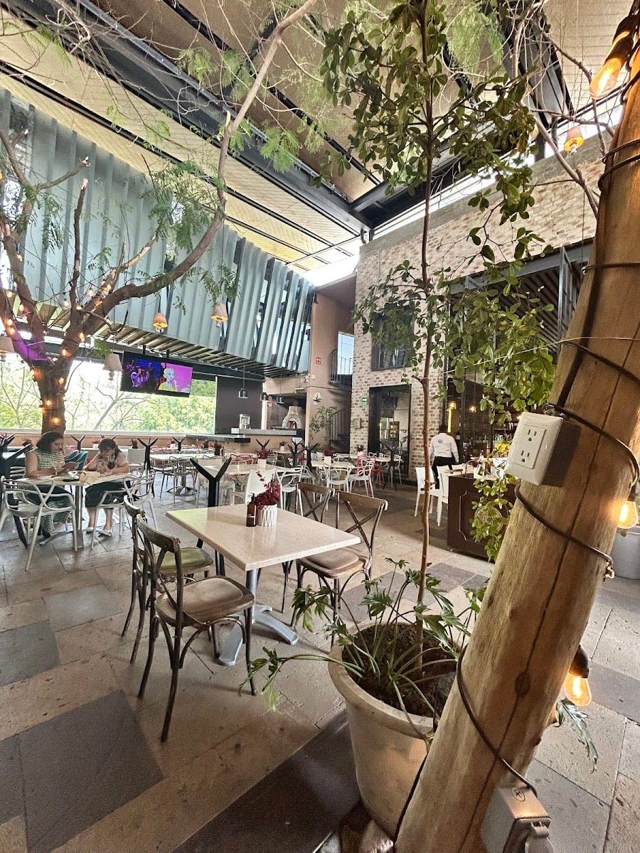 Orangerie Restaurant - Bar