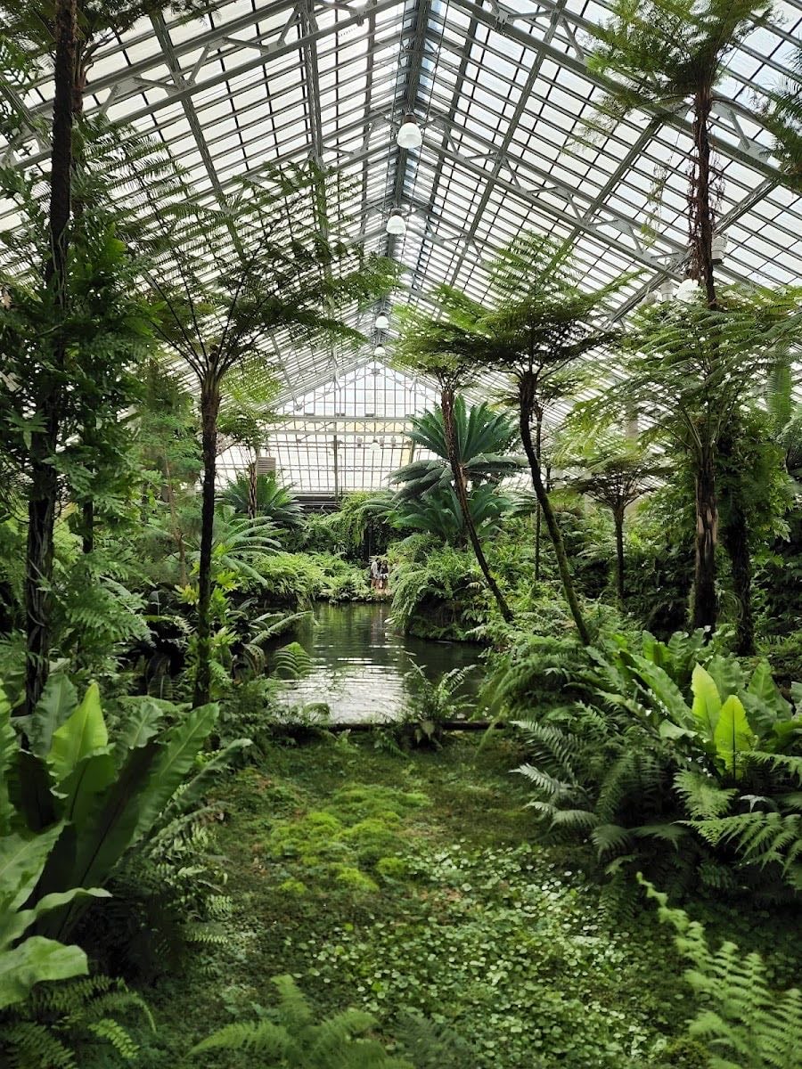 Garfield Park Conservatory - Reservations Required