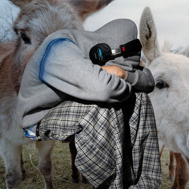Doggy (feat. Love Spells and Truly Young) - Song · Geezer, Kevin Abstract, Dominic Fike, Love Spells, Truly Young