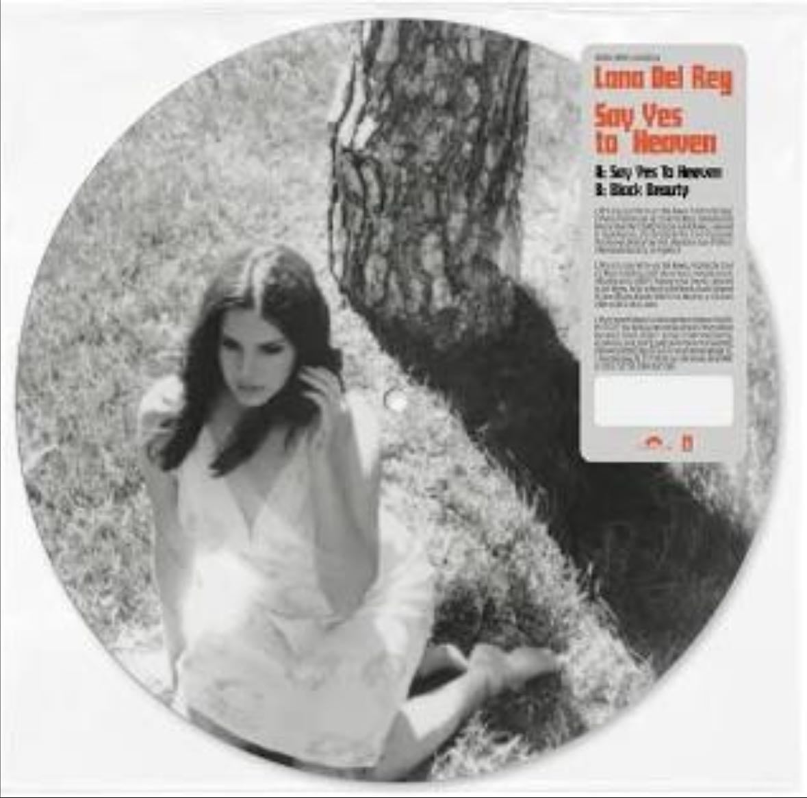 Say Yes To Heaven - Song · Lana Del Rey