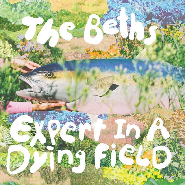 Expert In A Dying Field - Song · The Beths