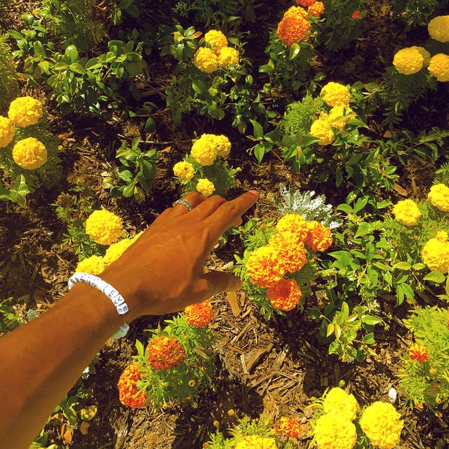 Peach Fuzz - Song · Tyler, The Creator